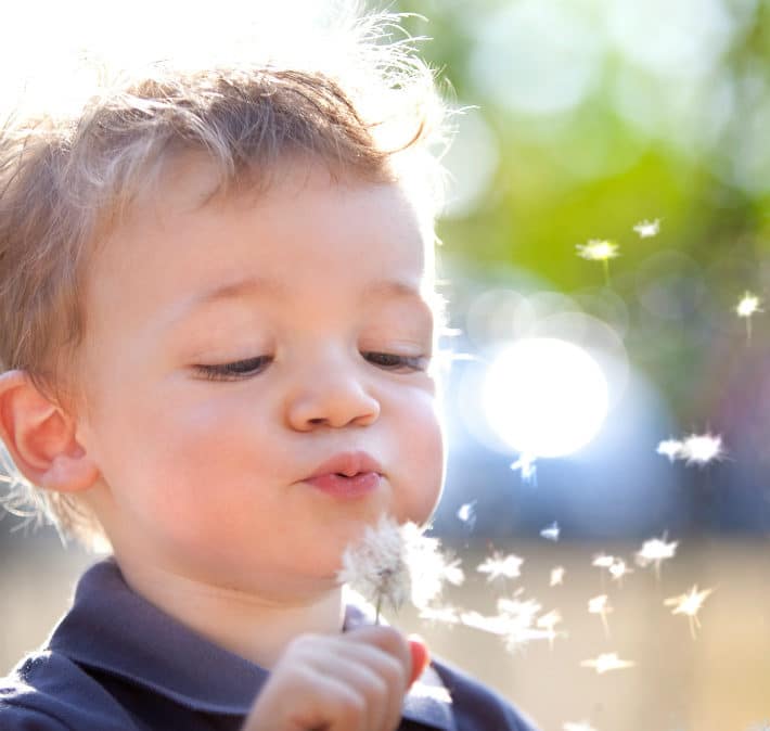 Child Blowing a Dandelion